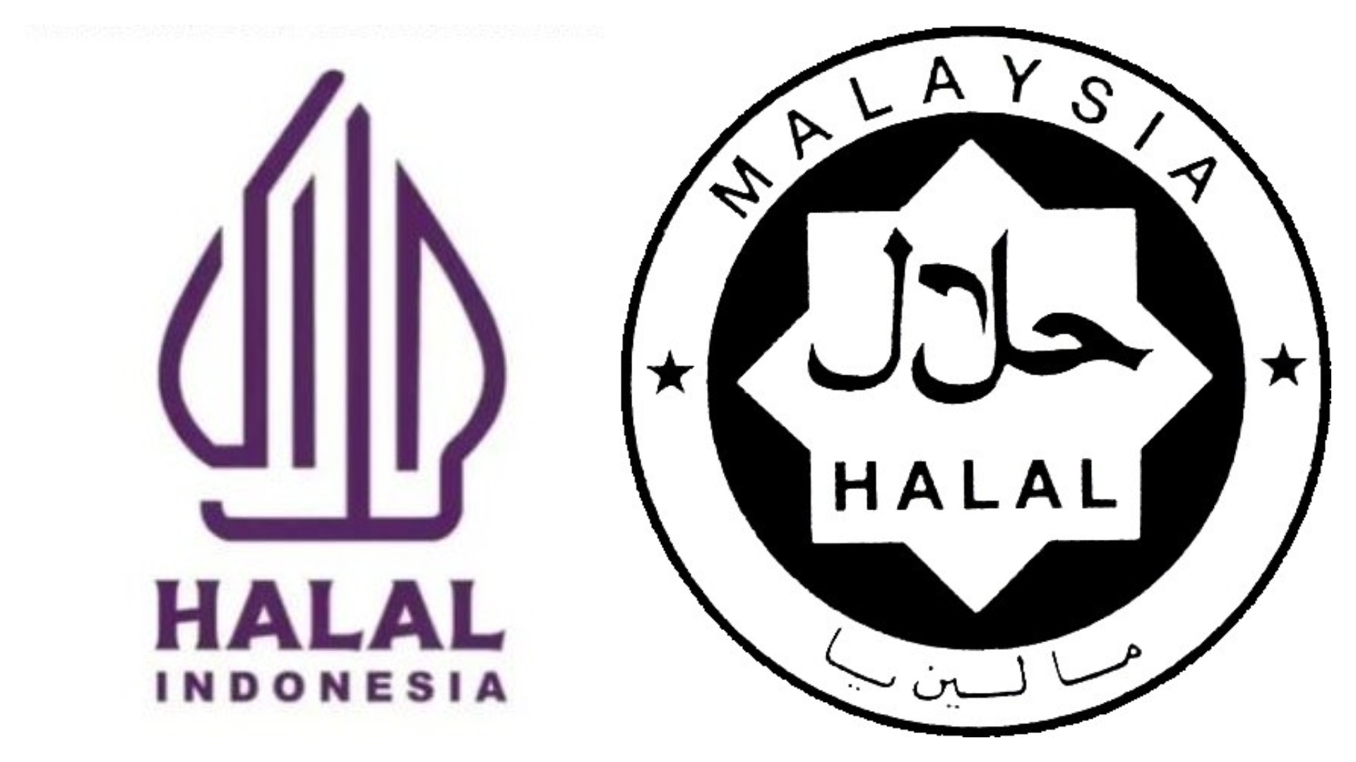 出口halal